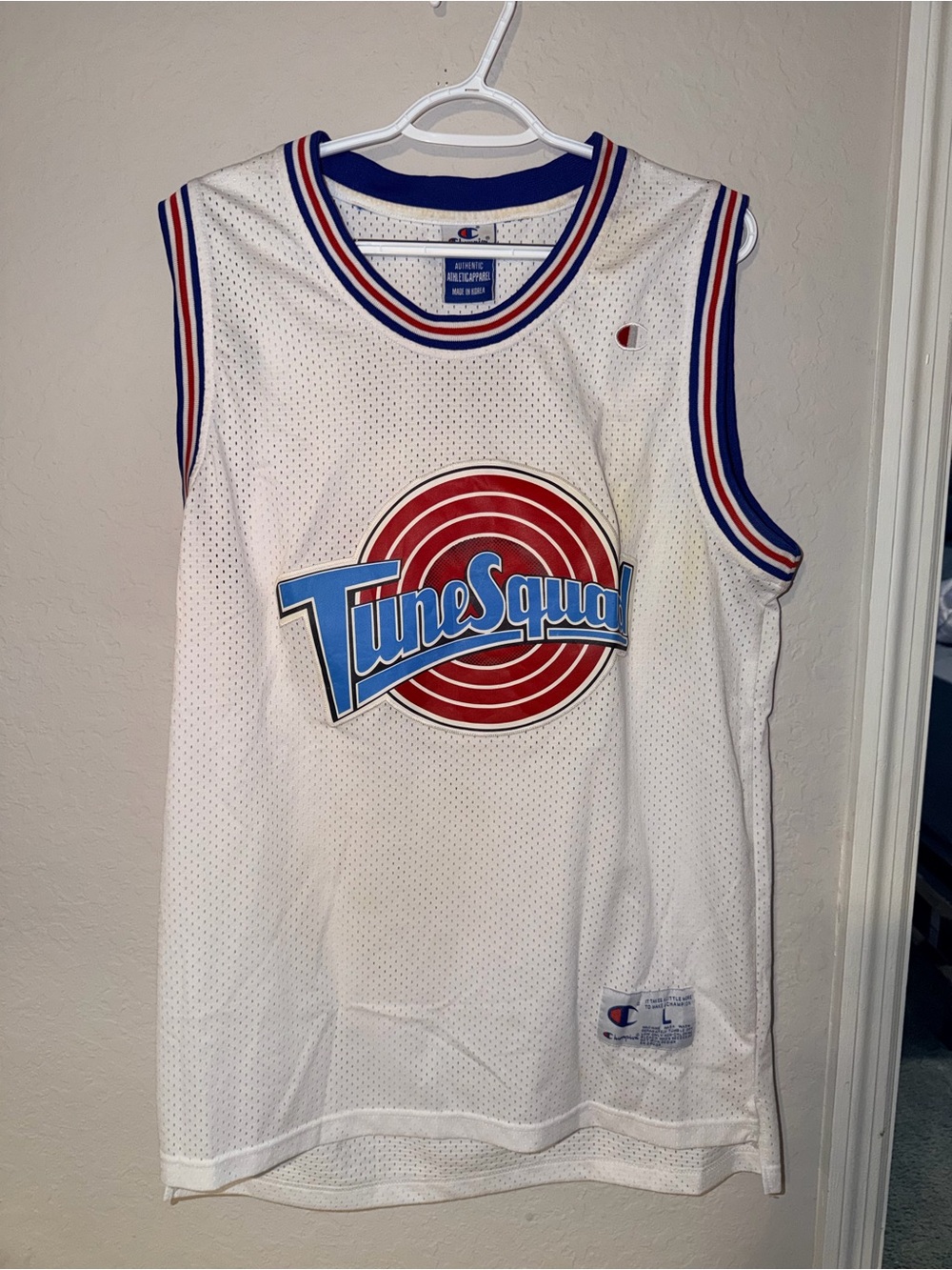 Vintage 90s Champion Space Jam Tune Squad Lola Bunny #10 Basketball Jersey
